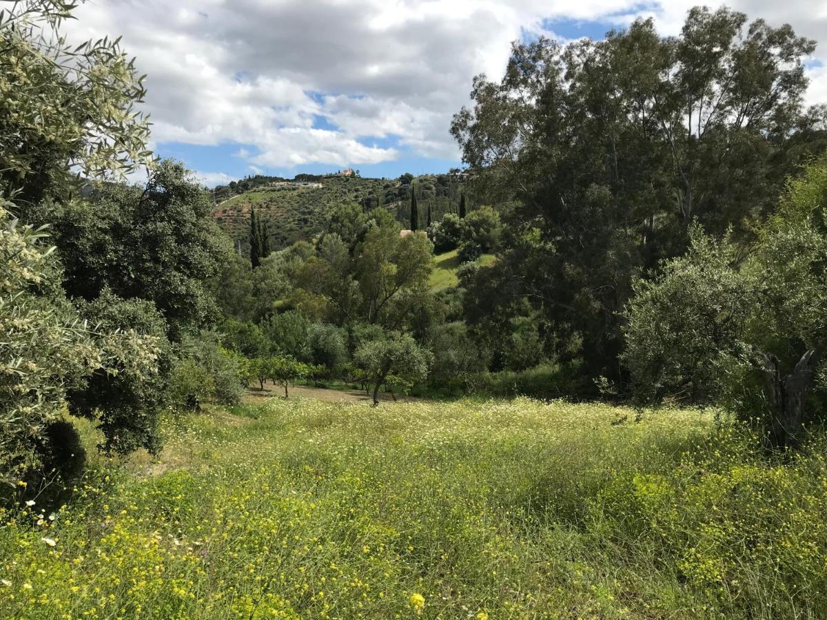 Studio Views Apartment, Cortijo Fruitful Hills Малага Екстериор снимка