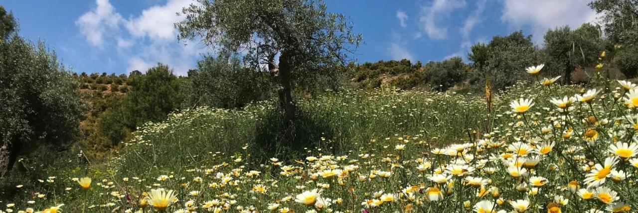 Studio Views Apartment, Cortijo Fruitful Hills Малага Екстериор снимка