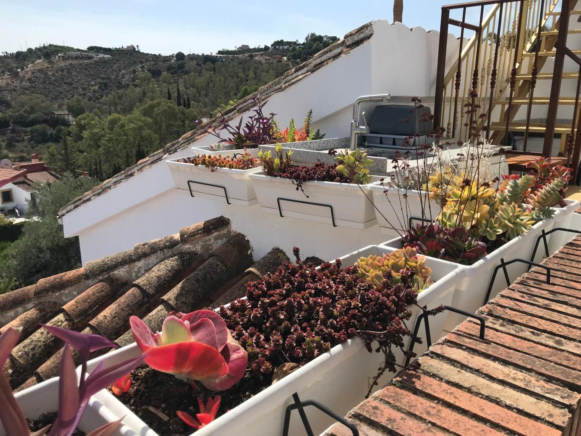 Studio Views Apartment, Cortijo Fruitful Hills Малага Екстериор снимка